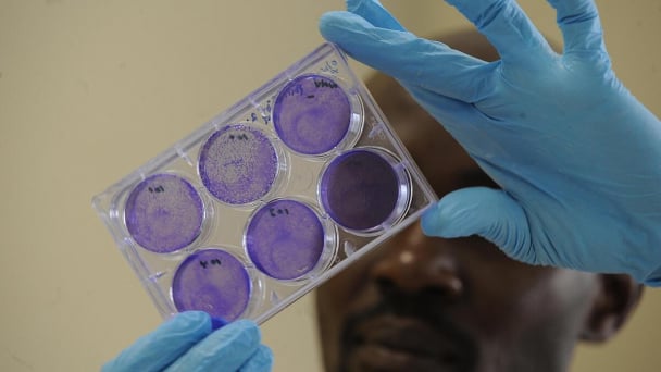 Rethinking biotech in the age of innovation