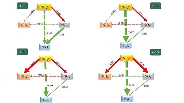 Plant-derived fertilizer additive boosts yields and cuts emissions