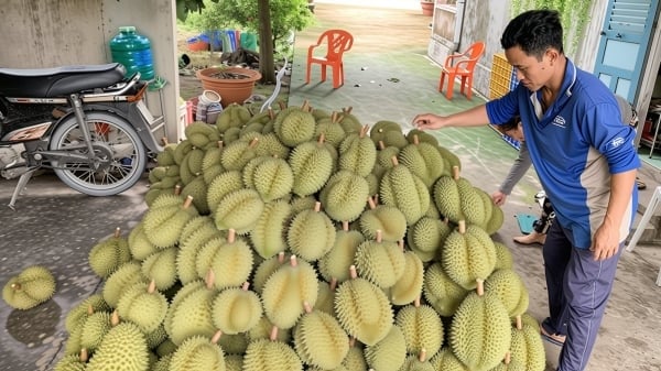 Công nghệ thúc đẩy xây dựng nông thôn mới ở Châu Thành