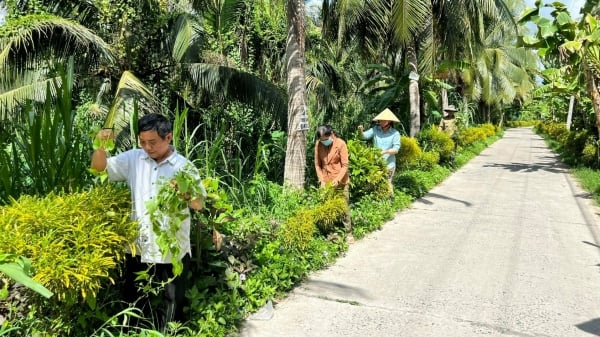 Bến Tre xây nông thôn mới từ lòng dân