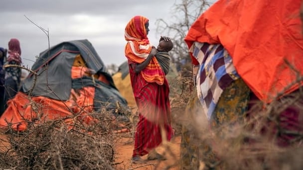 Droughts worldwide pushing tens of millions towards starvation