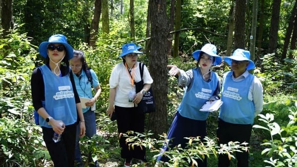 Public-private partnership for water conservation linked to headwater forests