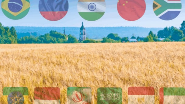 BRICS grain exchange plan is almost ready