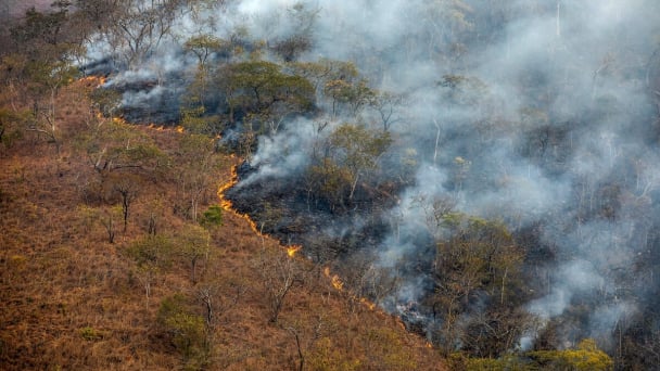 FAO welcomes Canada’s pledge of nearly $10 million to Global Fire Management Hub