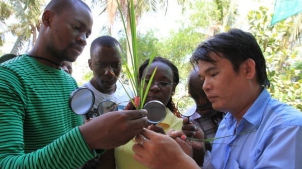 Elevate South-South Cooperation from 'exchange' to 'joint action'