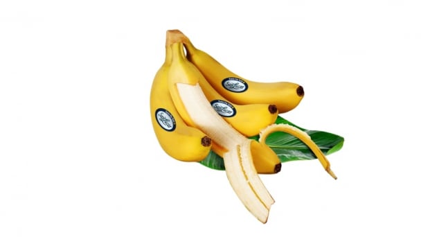 Climate crisiss and the death of bananas