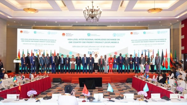 FAO: Innovation and national product branding can transform agrifood systems in Africa and Asia