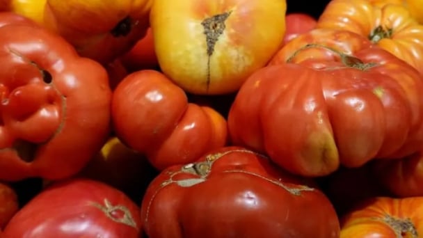 Why tomatoes are becoming a lot more expensive