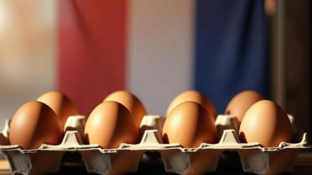 French egg war boils over again