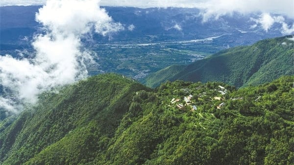 Chinese love for coffee revitalizes a mountain
