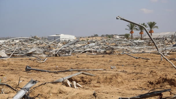 Gaza Strip: 98.5 percent of cropland unavailable for cultivation as famine looms