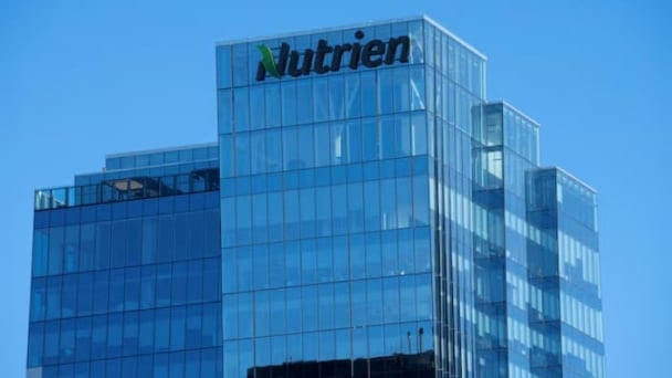 Nutrien expects more fertilizer use by farmers despite low crop prices