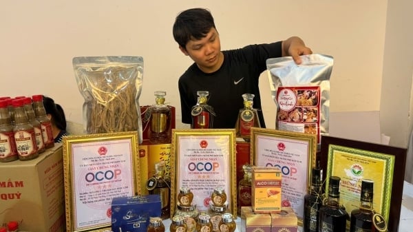 Quảng Ngãi sắp tổ chức Hội chợ Công thương và OCOP 2025