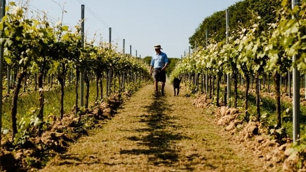 Farmers across Europe struggle to adapt to the climate crisis