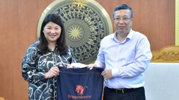 Dragonberry Produce to expand passion fruit and guava exports to the U.S