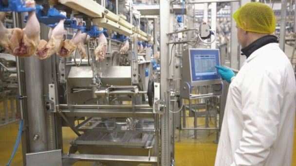 How to turn every piece of chicken into profit