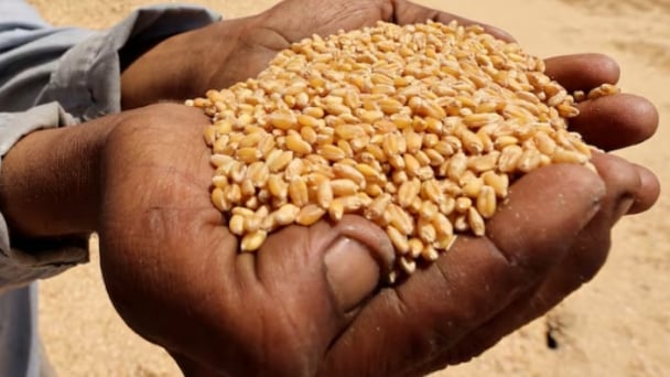 World food prices at more than two-year high, FAO says