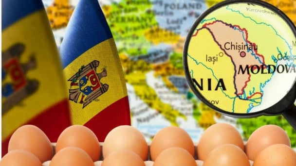 Moldova’s egg exports to Europe skyrocket