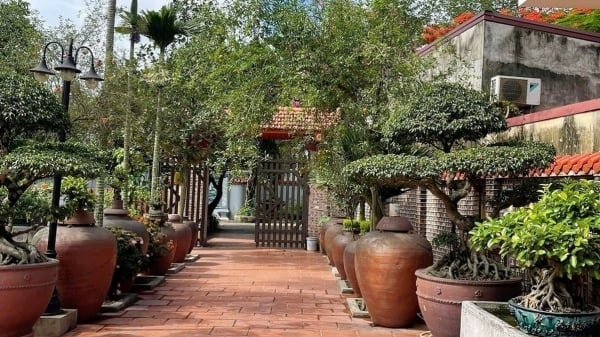 Phù Lãng tôn vinh 3 nghệ nhân làng gốm