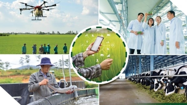 Đề xuất công nghệ chiến lược cho nông nghiệp, môi trường