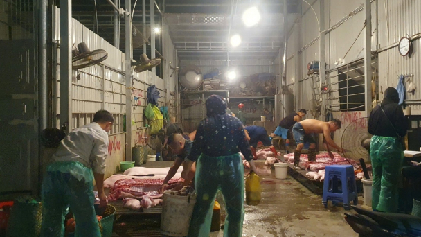 Hàng loạt cơ sở giết mổ không phép ngang nhiên hoạt động