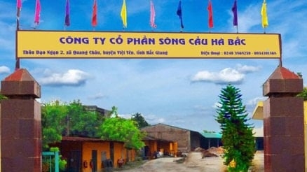 Bắc Ninh chỉ đạo xử lý nghiêm vi phạm môi trường