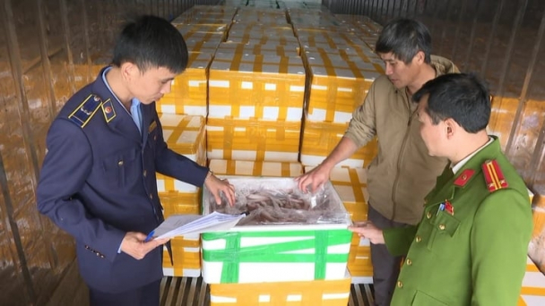 Thu giữ hơn 10 tấn cá khoai nhập khẩu chứa chất cấm