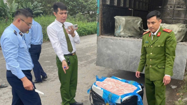 Tiêu hủy hơn 600kg nầm lợn bốc mùi hôi thối