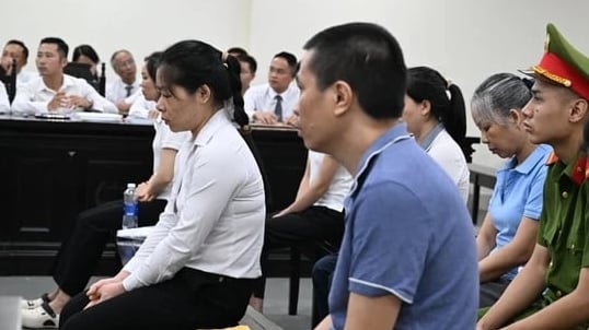 Làm giả sản phẩm bảo vệ sức khỏe, vợ chồng Giám đốc Herbitech ra hầu tòa