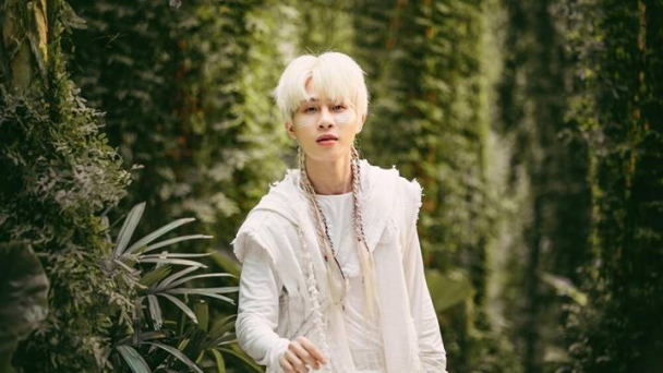 Sao Việt 27/12: Jack tung MV Đom Đóm, Hoài Lâm comeback
