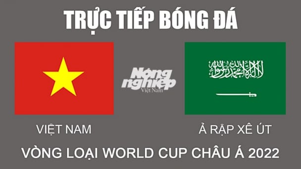 Trực tiếp bóng đá Việt Nam vs Ả Rập Xê Út hôm nay 16/11