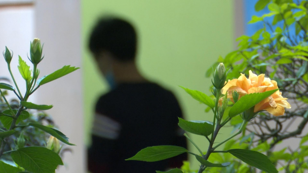 Lạng Sơn thông tin về việc thu phí lái xe bị cách ly