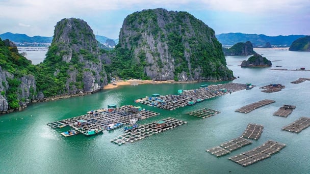 'Giao mặt biển’ cần lời giải