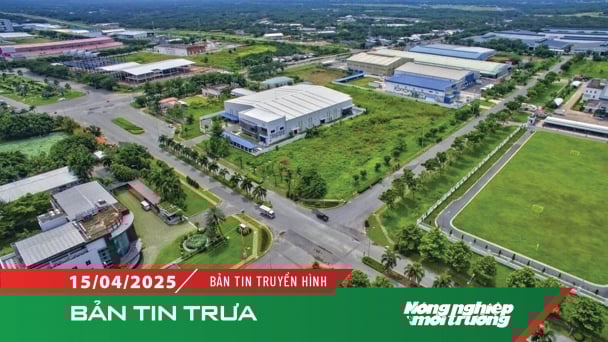 Nhiều đối tượng được giảm 30% tiền thuê đất năm 2024