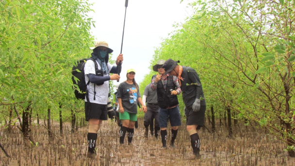 Khai thác 'kho báu' Ramsar Xuân Thủy cho du lịch sinh thái bền vững