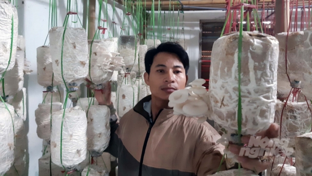 Đồng bào Ba Na trồng nấm hữu cơ trong nhà