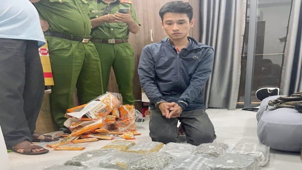Triệt phá đường dây mua bán trái phép 30kg cần sa xuyên quốc gia