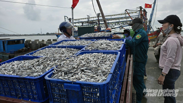 Ngư dân Quảng Trị vươn khơi bám biển đầu năm mới