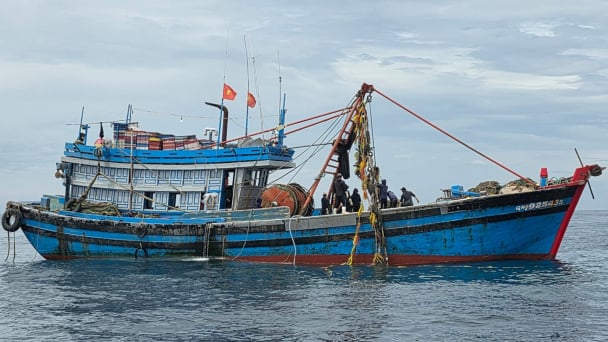 Khai thác thủy sản tận diệt ngày càng tinh vi