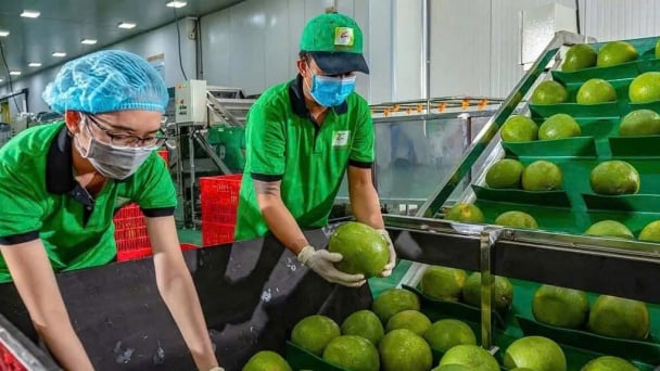 Ba 'tấm vé' mới cho nông sản Việt