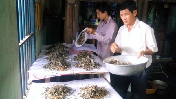 Bài thuốc quý chữa viêm xoang và tiểu đường