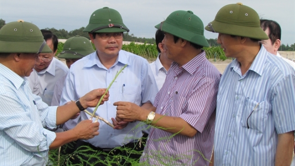 Nông nghiệp 2014 thắng lớn