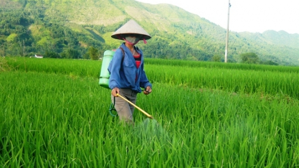 Doanh nghiệp trăn trở hợp chuẩn hợp quy thuốc BVTV