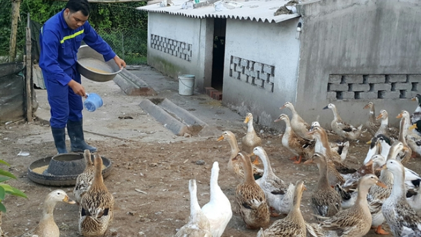 Vành đai chăn nuôi biên giới phía Bắc