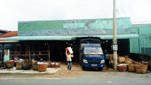 Thương lái Trung Quốc thao túng thị trường thanh long: Mạng lưới chân rết