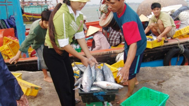 Hỗ trợ tiền cho tàu cá đánh bắt gần bờ và bù giá cho hải sản xa bờ