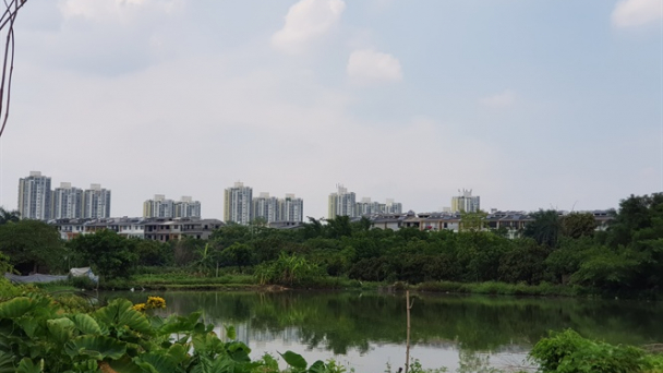 Những quyết định thần tốc 'giúp Ecopark đánh úp' nông dân Văn Giang