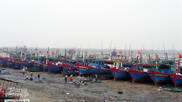 Vùng bãi ngang, những mảng màu sáng - tối