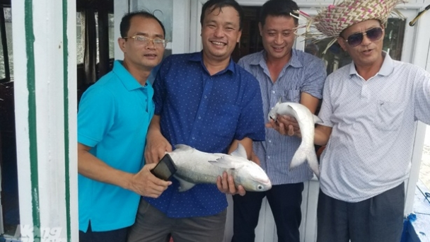 Nuôi đặc sản vùng Đông Bắc: Bài 1 - Miệt mài cùng con cá nhụ