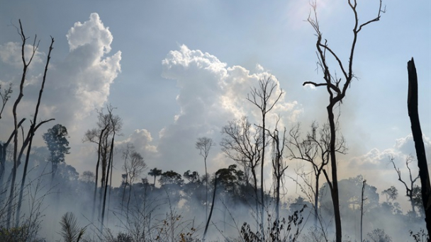 #PrayforAmazonia
